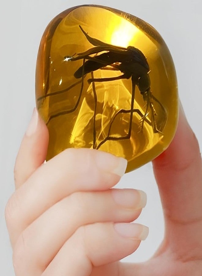 VEOJEIN Mosquito in Amber Fossil Replica Light Paperweight – DNA's Ancient Window – Dinosaur Era Relic – Premium Resin Artifact – Perfect for History & Paleontology Enthusiasts - Image 4
