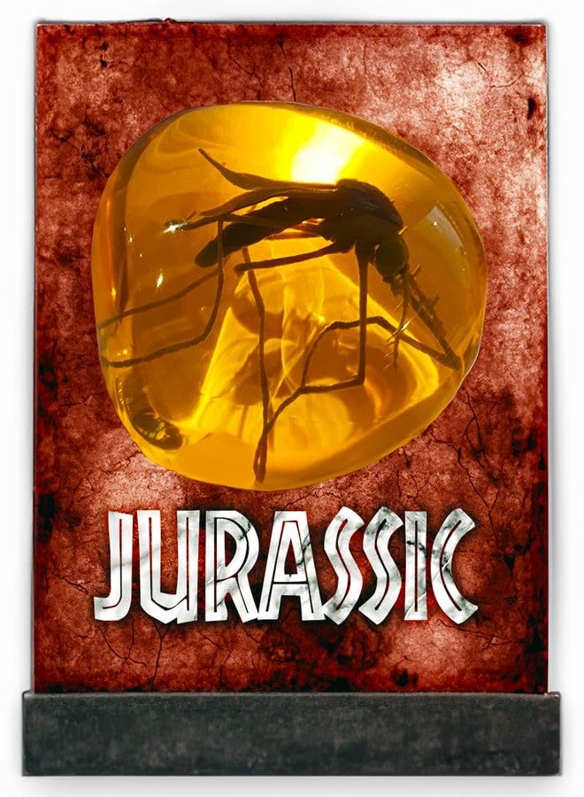 VEOJEIN Mosquito in Amber Fossil Replica Light Paperweight – DNA's Ancient Window – Dinosaur Era Relic – Premium Resin Artifact – Perfect for History & Paleontology Enthusiasts - Image 5