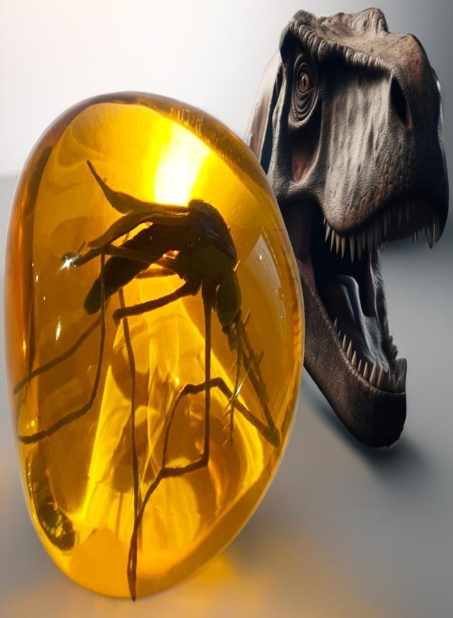 VEOJEIN Mosquito in Amber Fossil Replica Light Paperweight – DNA's Ancient Window – Dinosaur Era Relic – Premium Resin Artifact – Perfect for History & Paleontology Enthusiasts - Image 2