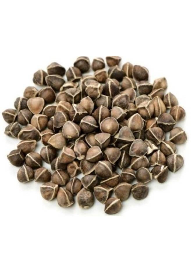 Herbs Natural Whole Dried Moringa Seeds – 250g – Non-GMO - Image 3
