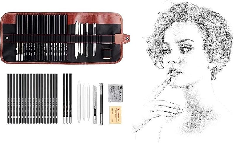 BITTZOOT Drawing Sketching Pencil Set29Piece Complete Artist Kit Includes Graphite PencilsIncludes Graphite PencilsCharcoal Pencils Paper Erasable Pen Sketch Pencils 29 PCS SET