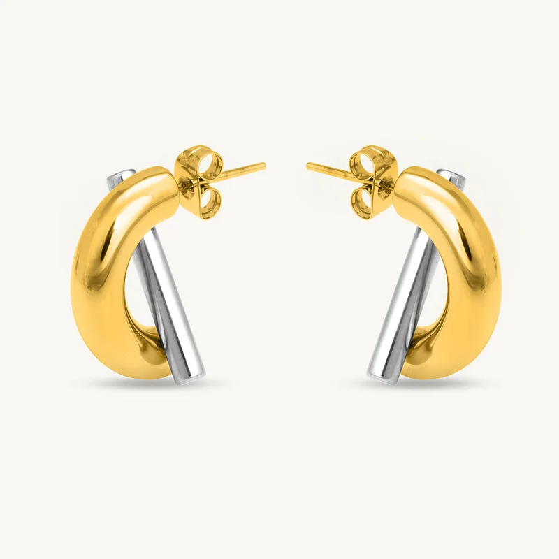 Palmonas PALMONAS Dual Tone Plated Bi-metal Fusion Earrings
 for Women