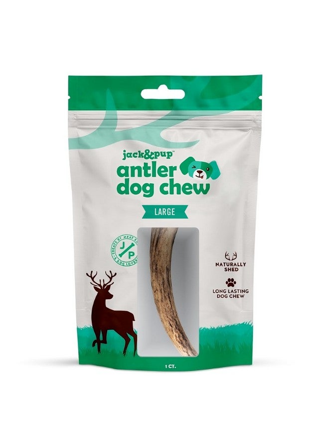 Jack&Pup Whole Elk Antlers For Dogs Large | Naturally Shed Rawhide Free Dog Chews Long Lasting Dog Antlers For Aggressive Chewers (1 Large Antler) - Image 1