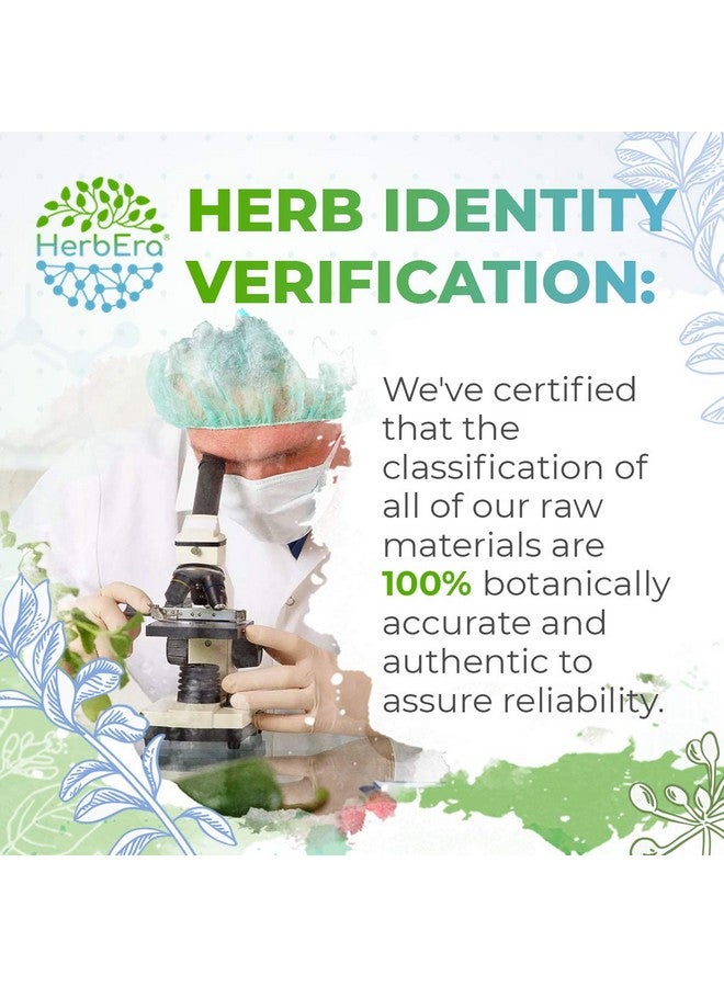 HerbEra مستخلص عشبي خالٍ من الكحول من Wild Yam B60، قطرات سائلة مركزة، جذر مجفف طبيعي من نبات اليام البري (Dioscorea Villosa)، 2 أونصة سائلة - Image 5