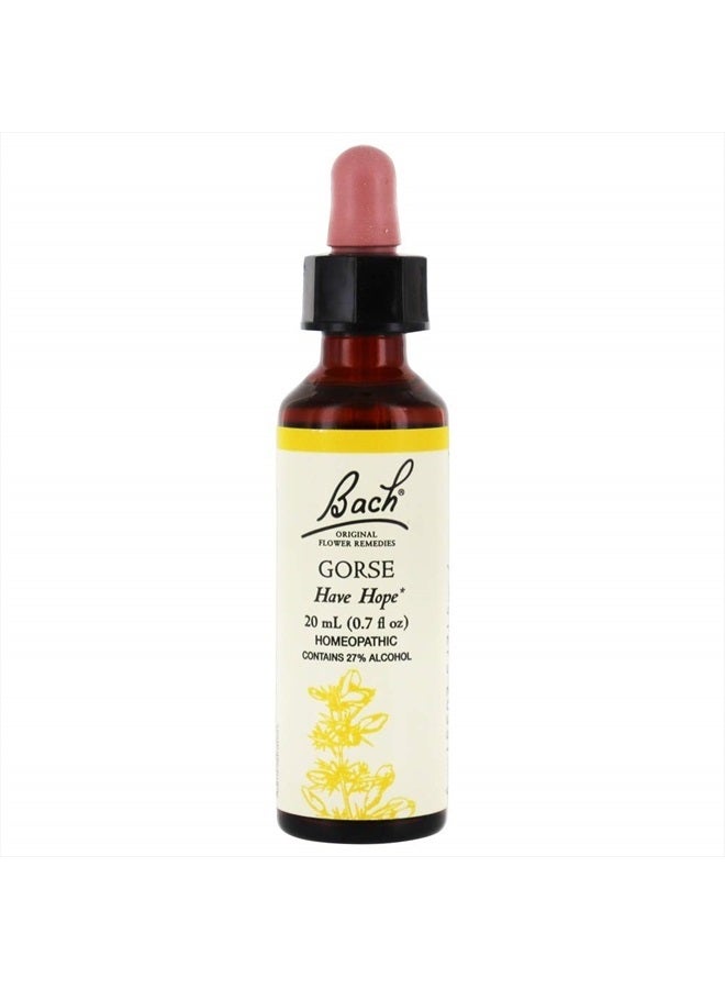 Bach BACH Flower ESSENCES Flower Essence Gorse 20 ML  - Image 1