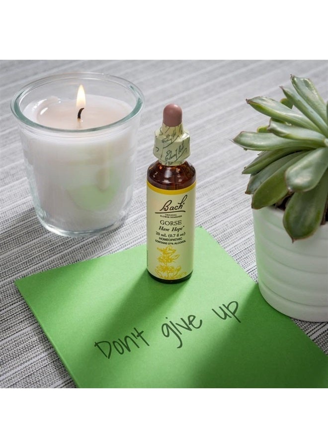 Bach BACH Flower ESSENCES Flower Essence Gorse 20 ML  - Image 5