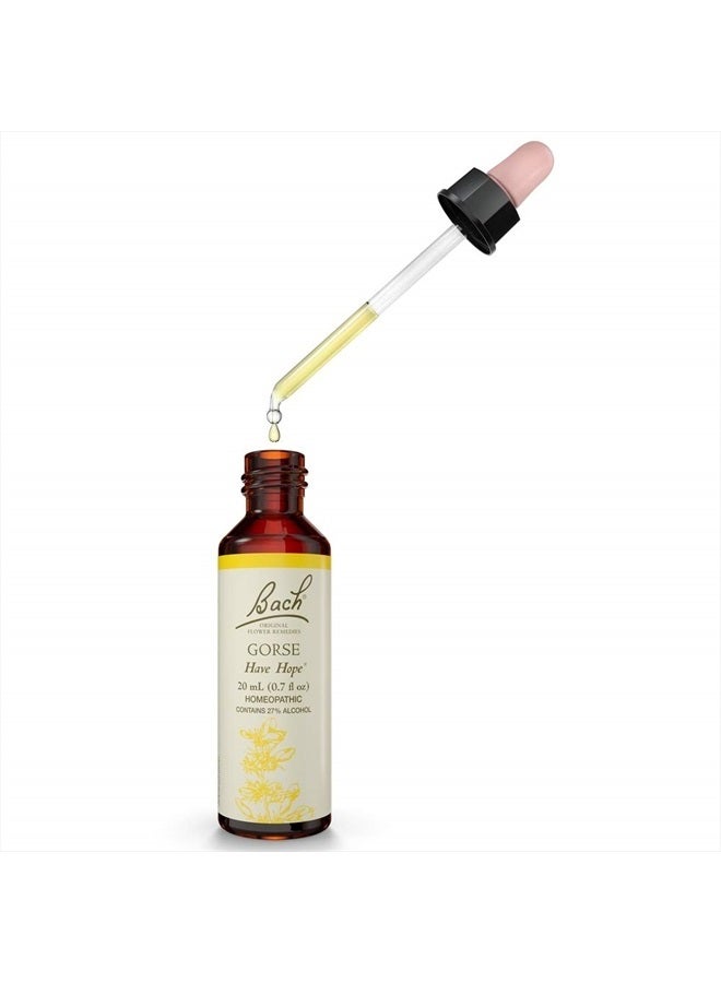 Bach BACH Flower ESSENCES Flower Essence Gorse 20 ML  - Image 4