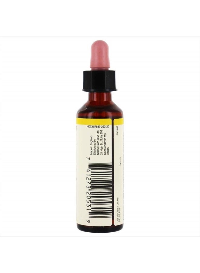 Bach BACH Flower ESSENCES Flower Essence Gorse 20 ML  - Image 3