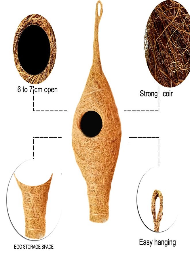 LIVEONCE Bird Nest for Sparrow Wild nest Purely Handmade with Strong-Natural Color Set of 2 - Image 2