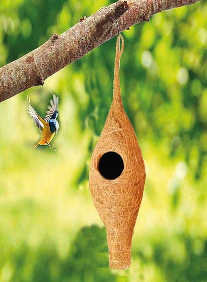 LIVEONCE Bird Nest for Sparrow Wild nest Purely Handmade with Strong-Natural Color Set of 2 - Image 5