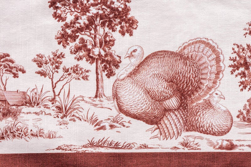 Maison d' Hermine Maison d' Hermine Cloth Placemat 100% Cotton Set of 4 Decorative Washable Place Mats Table Placemat  Dining  Kitchen  Parties & Camping  Holy Jouy - Brown -Thanksgiving/Christmas  - Image 3