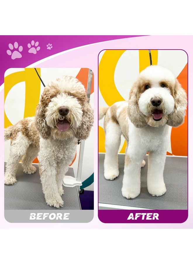 جيسون مجموعة مقصات جيسون للعناية بالكلاب - طقم مقصات احترافية 6 في 1 للكلاب - مقص رقيق 6.5 بوصة، ومقص مستقيم 7 بوصة، ومقص منحني لأعلى 7 بوصة، ومقص منحني لأسفل 7 بوصة، ومشط للكلاب والقطط والحيوانات الأليفة مع برغي قابل للتعديل (أرجواني) - Image 4