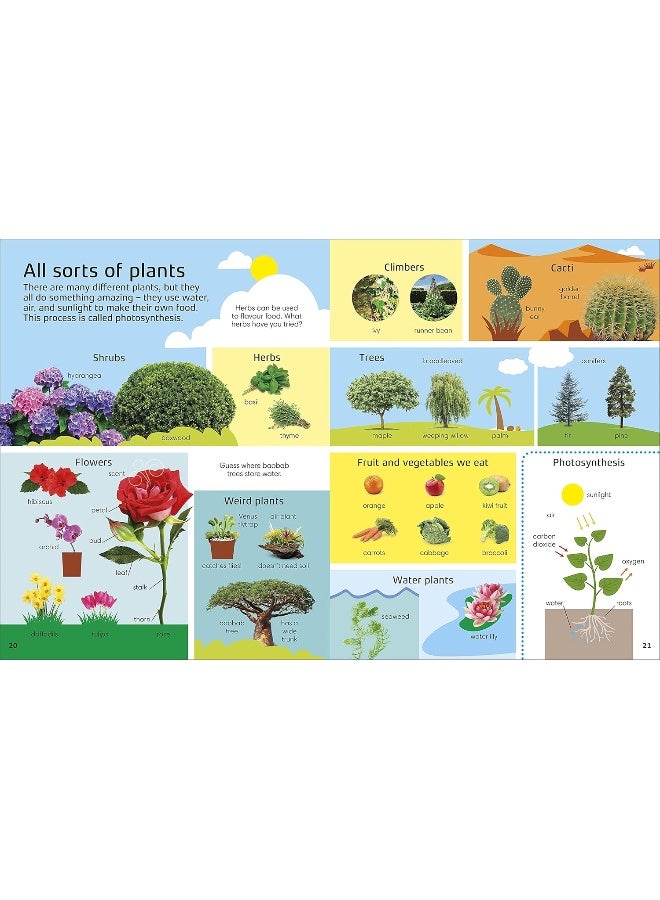 1000 كلمة: الطبيعة: بناء مفردات الطبيعة ومهارات القراءة والكتابة - Image 5