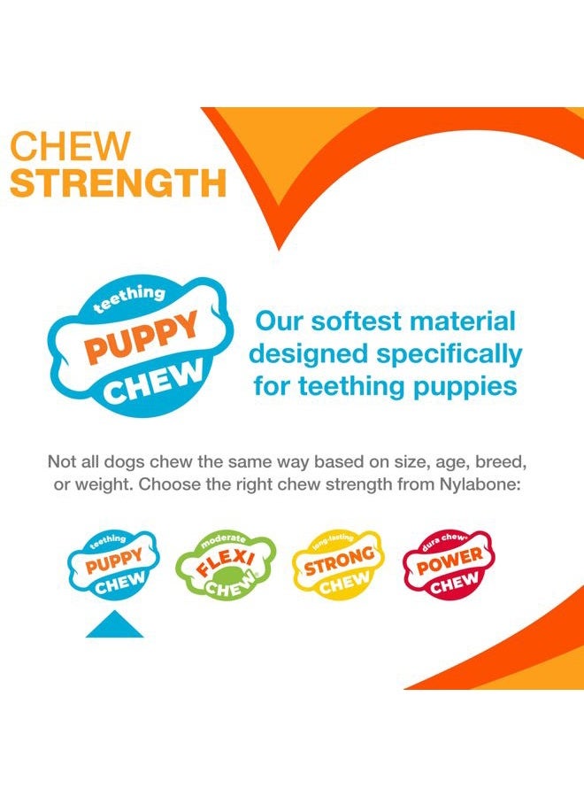 Nylabone Puppy Double Action Dog Chew Toy, L - Image 4