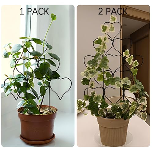Ailibre Indoor Plant Trellis for Climbing Plants, Stackable Garden Trellis for Potted Plants, Small House Plant Trellis for Vine Ivy Flower Plant Support Outdoor DIY Metal Trellis 3 Pack, Black - Image 5