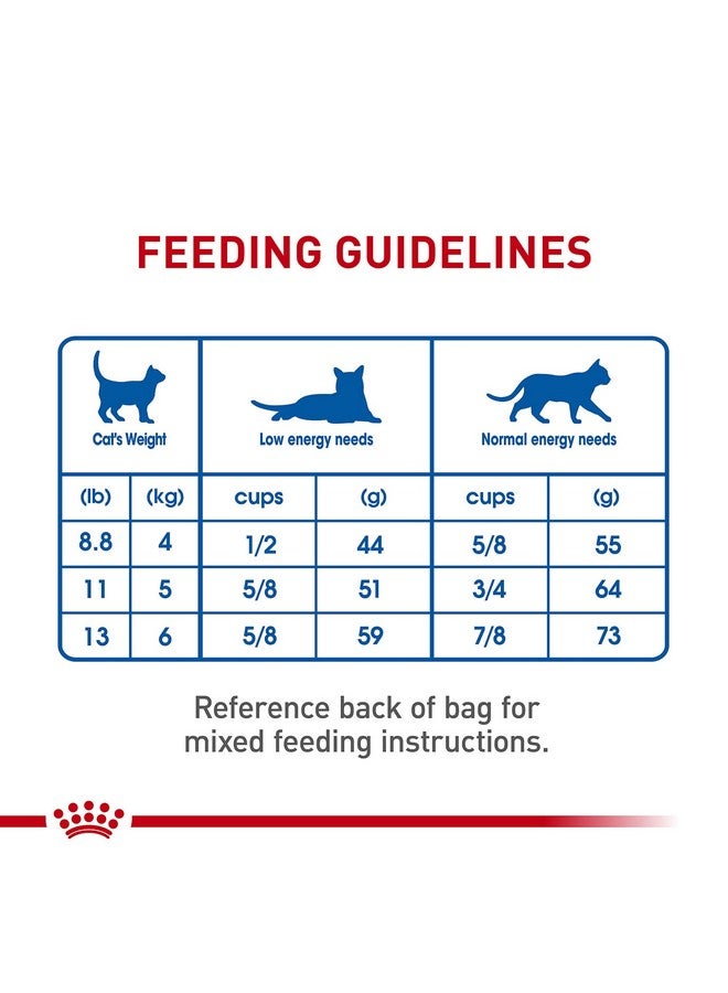 رويال كانين طعام جاف للقطط البالغة من رويال كانين للداخل 7+، كيس 5.5 رطل - Image 5