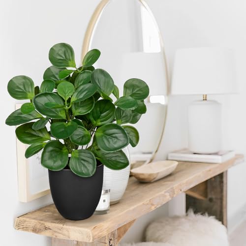 Villa Como 14.5" Artificial Plants Indoor Home Decor, Fake Potted Silk Plants for Shelves Living Room Decorative, Small Artificial Office Desk Plants in Pots, Faux Peperomia Hope Tropical House Plant - Image 4