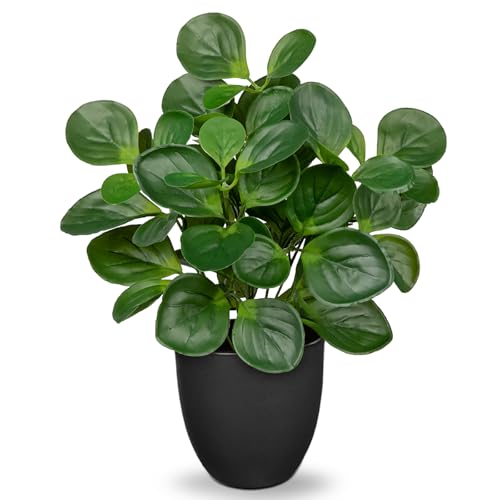 Villa Como 14.5" Artificial Plants Indoor Home Decor, Fake Potted Silk Plants for Shelves Living Room Decorative, Small Artificial Office Desk Plants in Pots, Faux Peperomia Hope Tropical House Plant - Image 1
