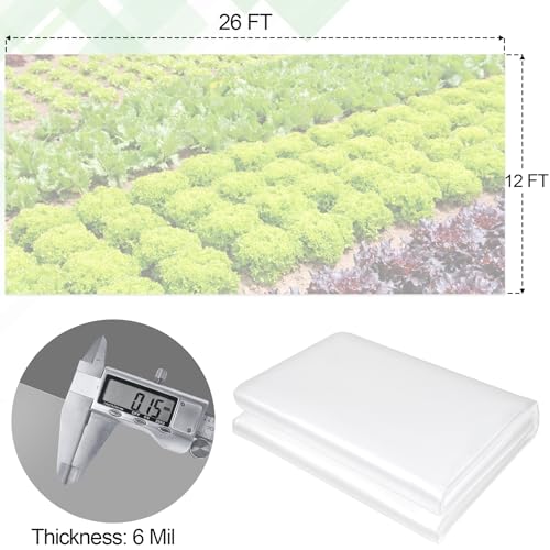 ToLanbbt 12 x 26 FT Clear Greenhouse Plastic Sheeting, 6 Mil Polyethylene Film Heavy Duty, Water Sun Frost Wind Dust Resistant Winter Hoop House Toughness Plastic Cover for Farming, Gardening, Agriculture, DIY - Image 2