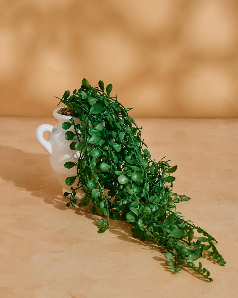 Redtag Green Artificial Pothos with Planter
