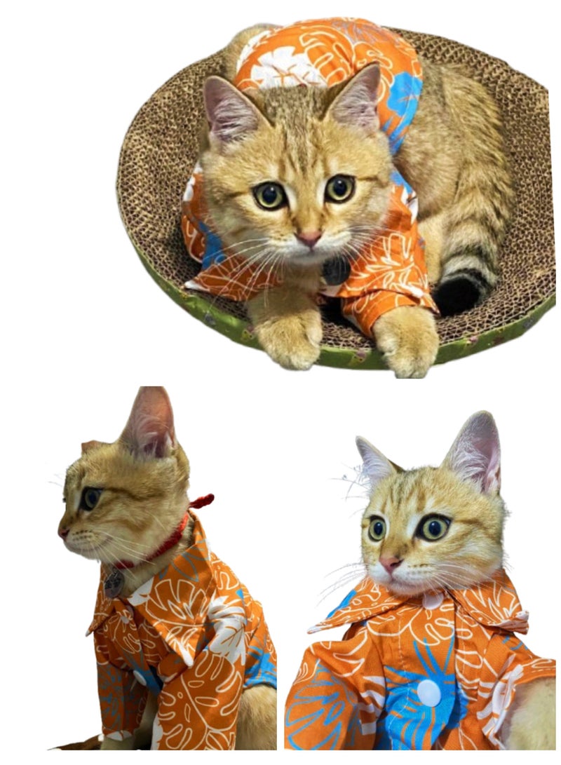 A.M Kitten Summer Beach Shirt - Image 1