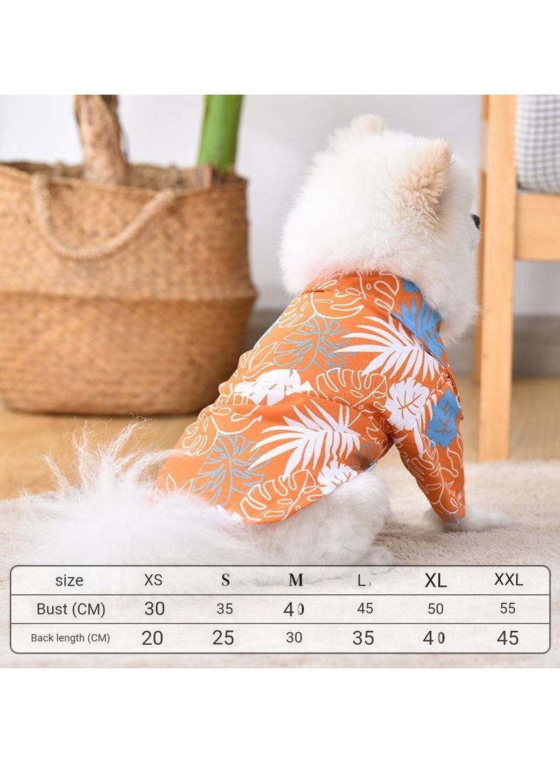 A.M Kitten Summer Beach Shirt - Image 2
