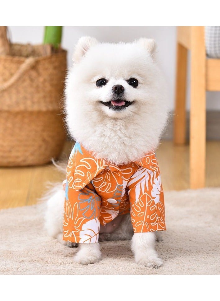 A.M Kitten Summer Beach Shirt - Image 3