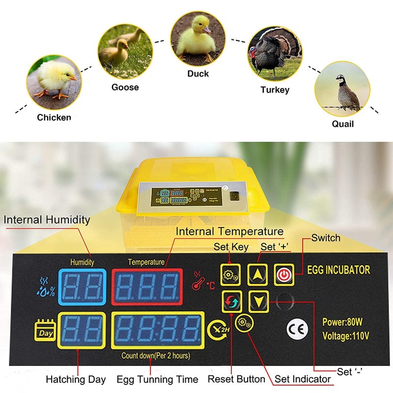 Ndeal Ndeal Ndeal Incubators Dual Power Fully Automatic 48 Egg Intelligent Digital TemperatureHumidity Control for Poultry Reptile Hatcher  - Image 2