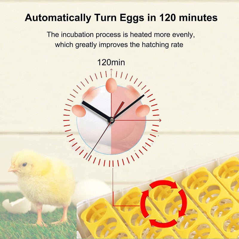 Ndeal Ndeal Ndeal Incubators Dual Power Fully Automatic 48 Egg Intelligent Digital TemperatureHumidity Control for Poultry Reptile Hatcher  - Image 3