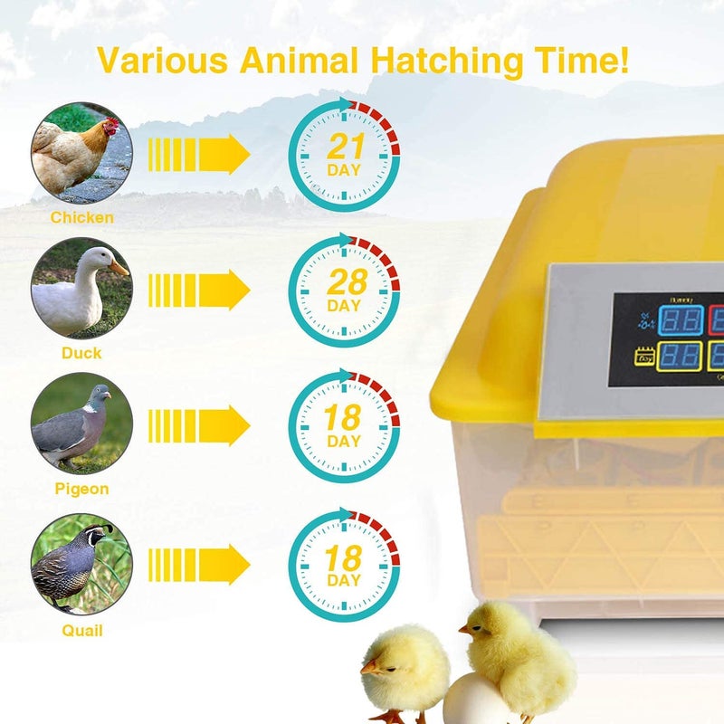 Ndeal Ndeal Ndeal Incubators Dual Power Fully Automatic 48 Egg Intelligent Digital TemperatureHumidity Control for Poultry Reptile Hatcher  - Image 5