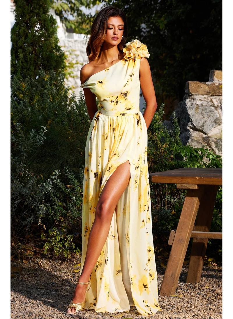 بيلا بارنيت فستان ماكسي بدون أكمام مزين بالزهور من ريسبير