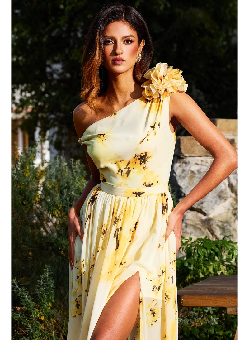 Bella Barnett  Resber Sleeveless Flowers Slit Maxi Dress for Women | Best Price UAE