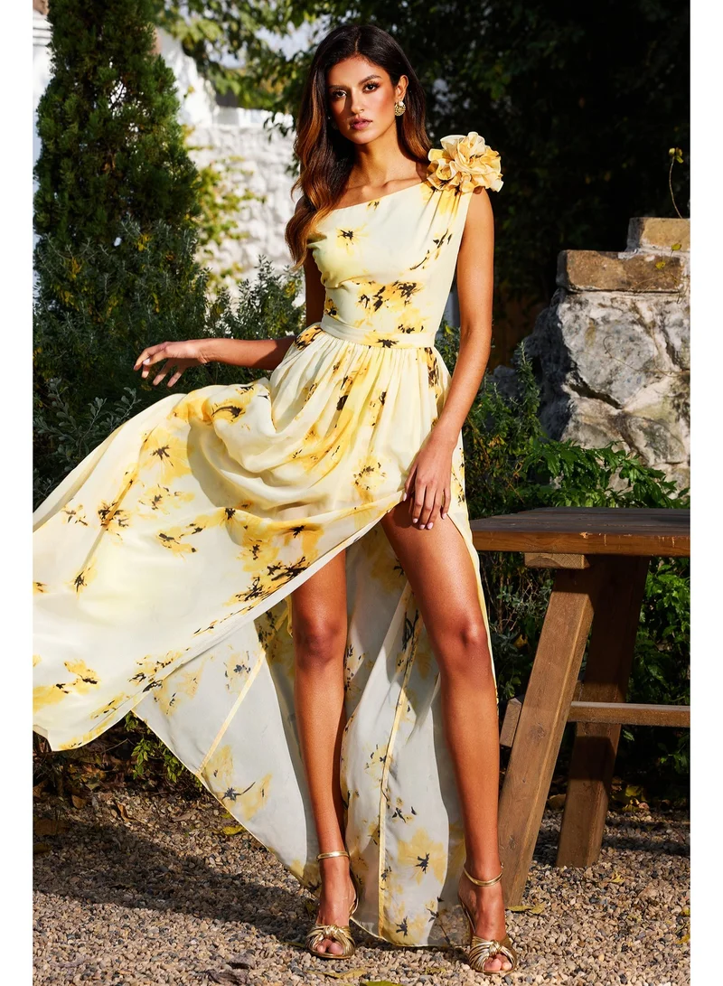 بيلا بارنيت فستان ماكسي بدون أكمام مزين بالزهور من ريسبير