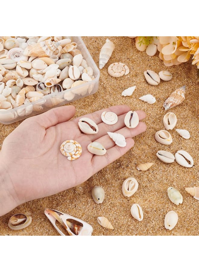 115125pcs Natural Sea Shells Ocean Spiral Seashells Craft Shell Charms Mixed Beach Seashells for Summer Beach Bracelet Necklace Jewelry DIY Craft Making Home Decor Vase Filler  - Image 3
