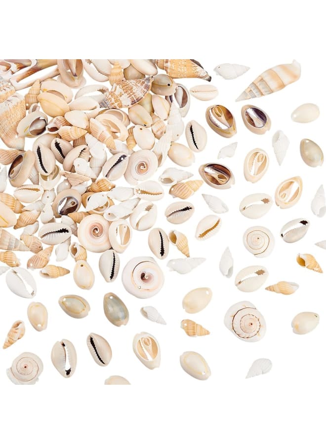 115125pcs Natural Sea Shells Ocean Spiral Seashells Craft Shell Charms Mixed Beach Seashells for Summer Beach Bracelet Necklace Jewelry DIY Craft Making Home Decor Vase Filler  - Image 1