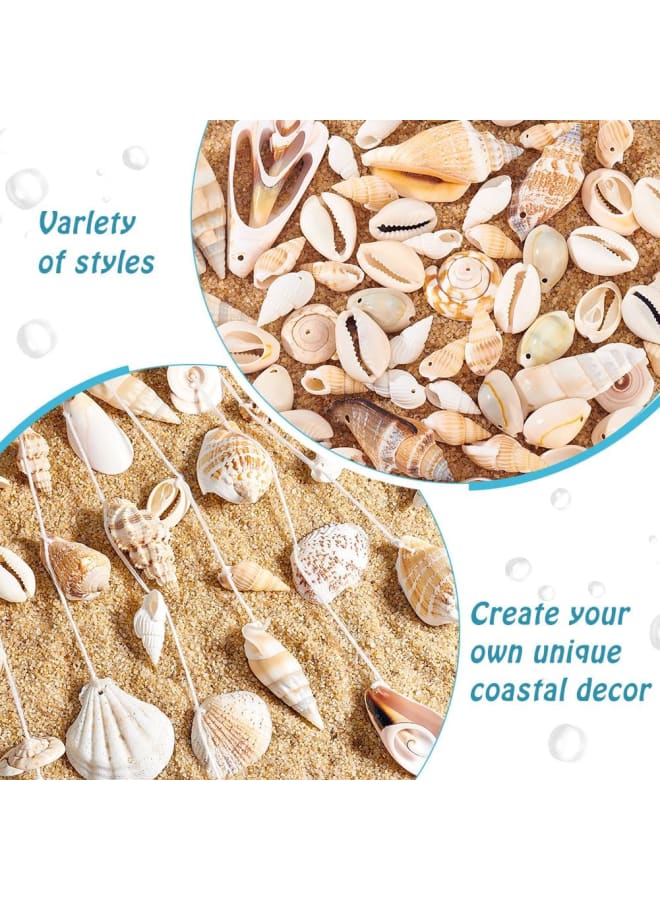 115125pcs Natural Sea Shells Ocean Spiral Seashells Craft Shell Charms Mixed Beach Seashells for Summer Beach Bracelet Necklace Jewelry DIY Craft Making Home Decor Vase Filler  - Image 4