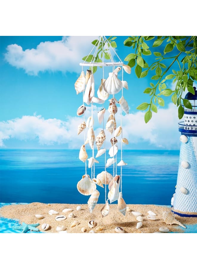 115125pcs Natural Sea Shells Ocean Spiral Seashells Craft Shell Charms Mixed Beach Seashells for Summer Beach Bracelet Necklace Jewelry DIY Craft Making Home Decor Vase Filler  - Image 5