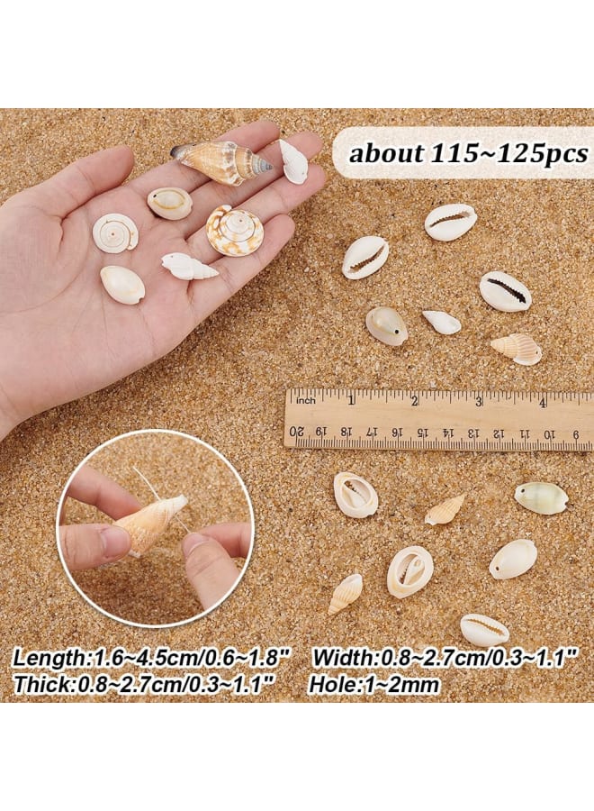 115125pcs Natural Sea Shells Ocean Spiral Seashells Craft Shell Charms Mixed Beach Seashells for Summer Beach Bracelet Necklace Jewelry DIY Craft Making Home Decor Vase Filler  - Image 2
