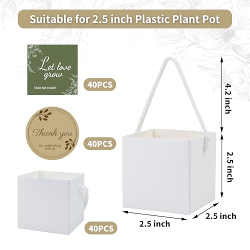 Temlum 25 Inch Succulent Wrap Bags Fits 25 Pots with Thank You Let Love Grow Stickers Small Gift Box for Wedding Baby Shower Succulent Party Favors for Guests White 40pcs - Image 3