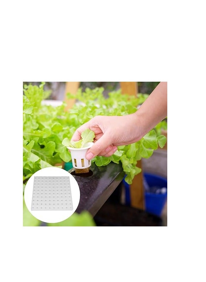 كوب شبكي للزراعة المائية ، أكواب شبكية قابلة لإعادة الاستخدام للحديقة، أكواب زراعة بلاستيكية شبكية للحديقة، سلال، أكواب زراعة متينة للبرك (250، أبيض) - Image 3