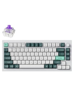 Keychron Q1 HE QMK Wireless Mechanical Keyboard, Gateron Double-Rail Magnetic Nebula Switches, Fully Assembled Knob, OSA PBT Keycaps, Tri-Mode Connectivity, ENG-ARAB Layout, Q1H-P1-AR