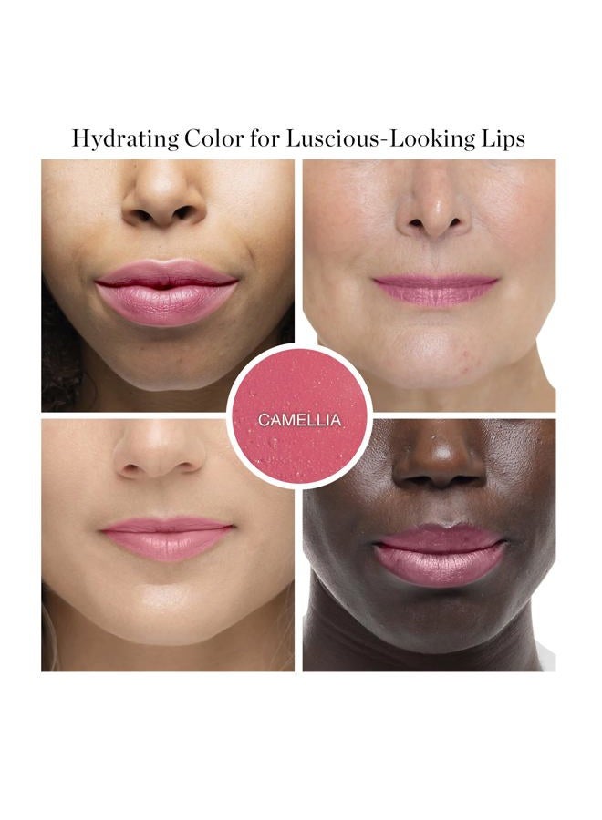 OGEE Tinted Sculpted Lip Oil - Lip Stain Made with 100% Organic Coconut Oil, Jojoba Oil, and Vitamin E - Best as Lip Balm, Lip Color or Lip Treatment - CAMELLIA - Image 2