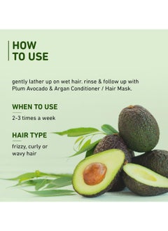 Plum Avocado & Argan Frizz Control Shampoo | for Curly, Wavy & Frizzy Hair | Sulphate & Parabens Free | with Aloe Vera Extract | Reduces Frizz, Retains Moisture & Conditions Strands | 250ml  - Image 3