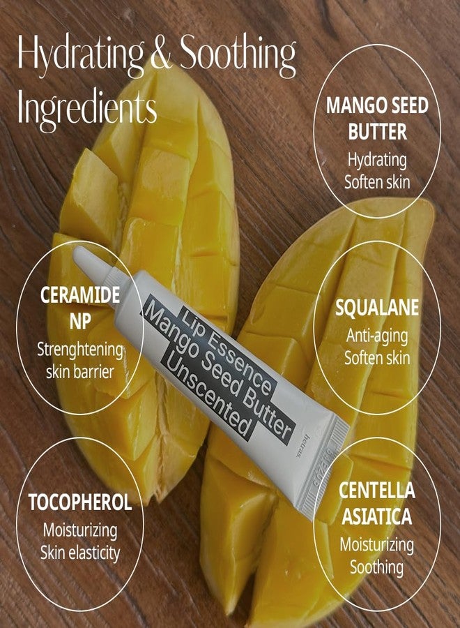 hetras. hetras Mango Seed Butter Lip Essence | Fragrnace Free Intense Hydration & Overnight Lip Mask for Soft, Glossy Lips | Daily Lip Treatment Jelly Balm for Dry Lips, 0.44 oz. 2 Pack - Image 4