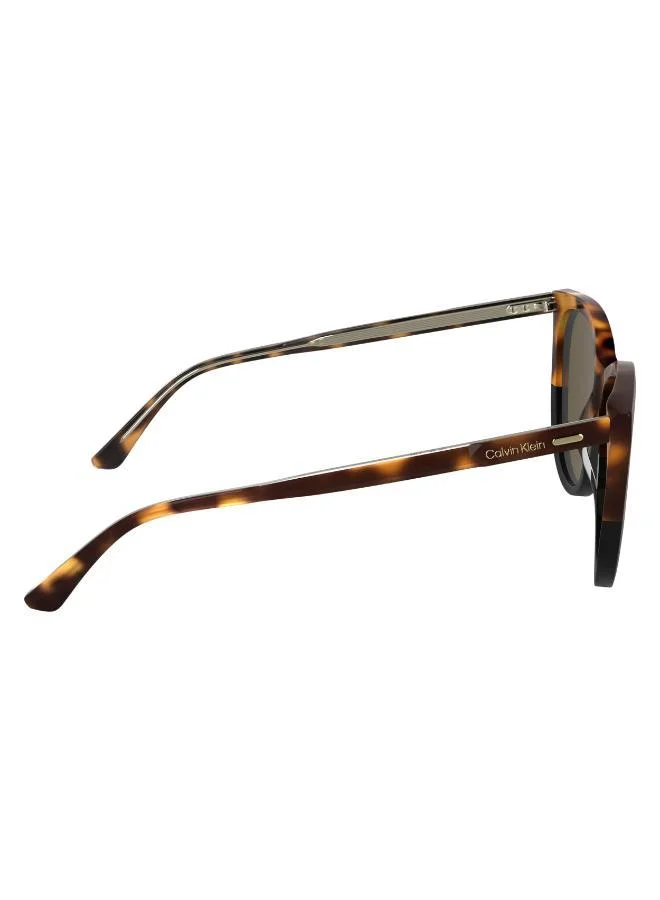 CALVIN KLEIN  Butterfly Sunglasses for Women | Best Price UAE
