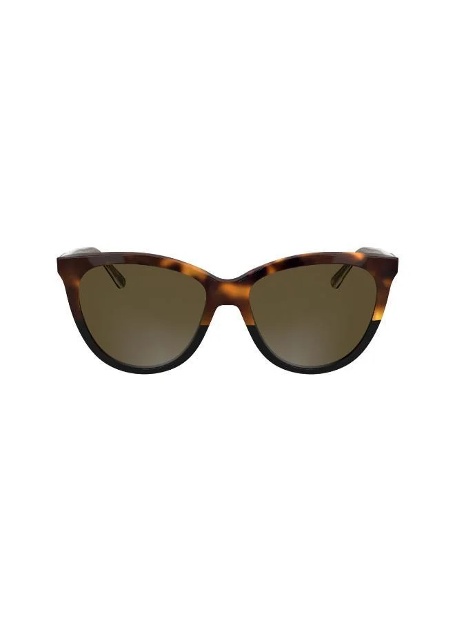 CALVIN KLEIN Butterfly Sunglasses