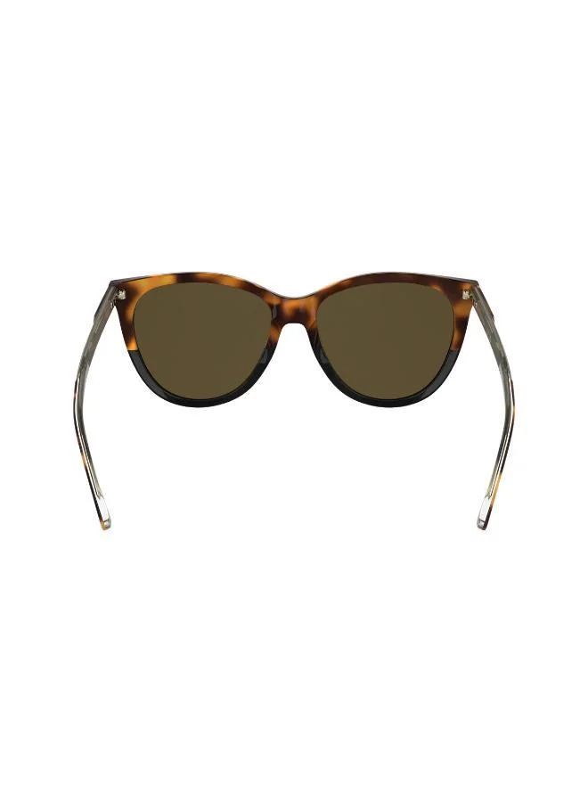 CALVIN KLEIN Butterfly Sunglasses