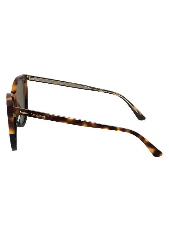 CALVIN KLEIN  Butterfly Sunglasses for Women | Best Price UAE