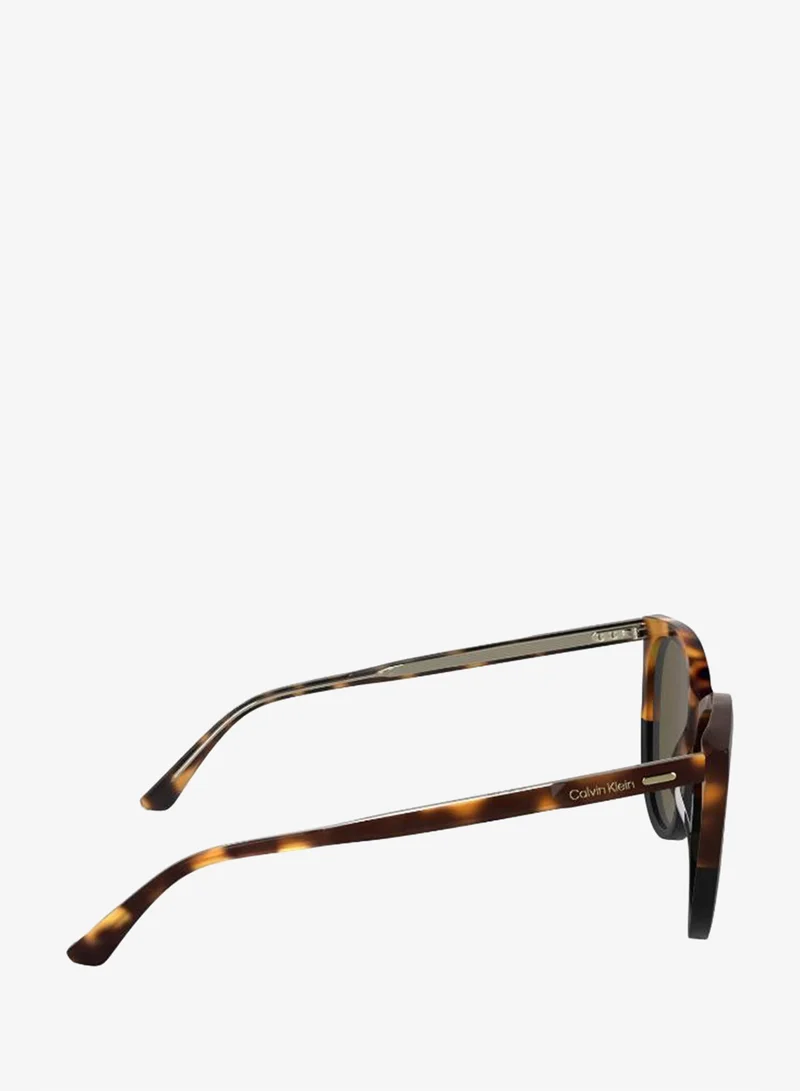 Calvin Klein  Butterfly Sunglasses for Women | Best Price UAE