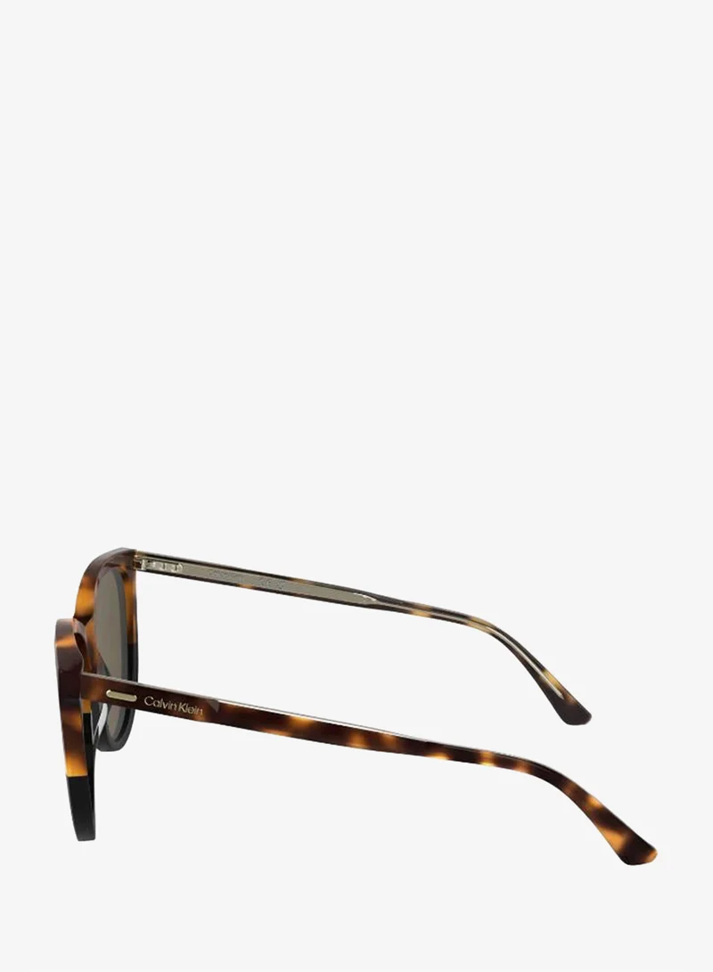Calvin Klein  Butterfly Sunglasses for Women | Best Price UAE